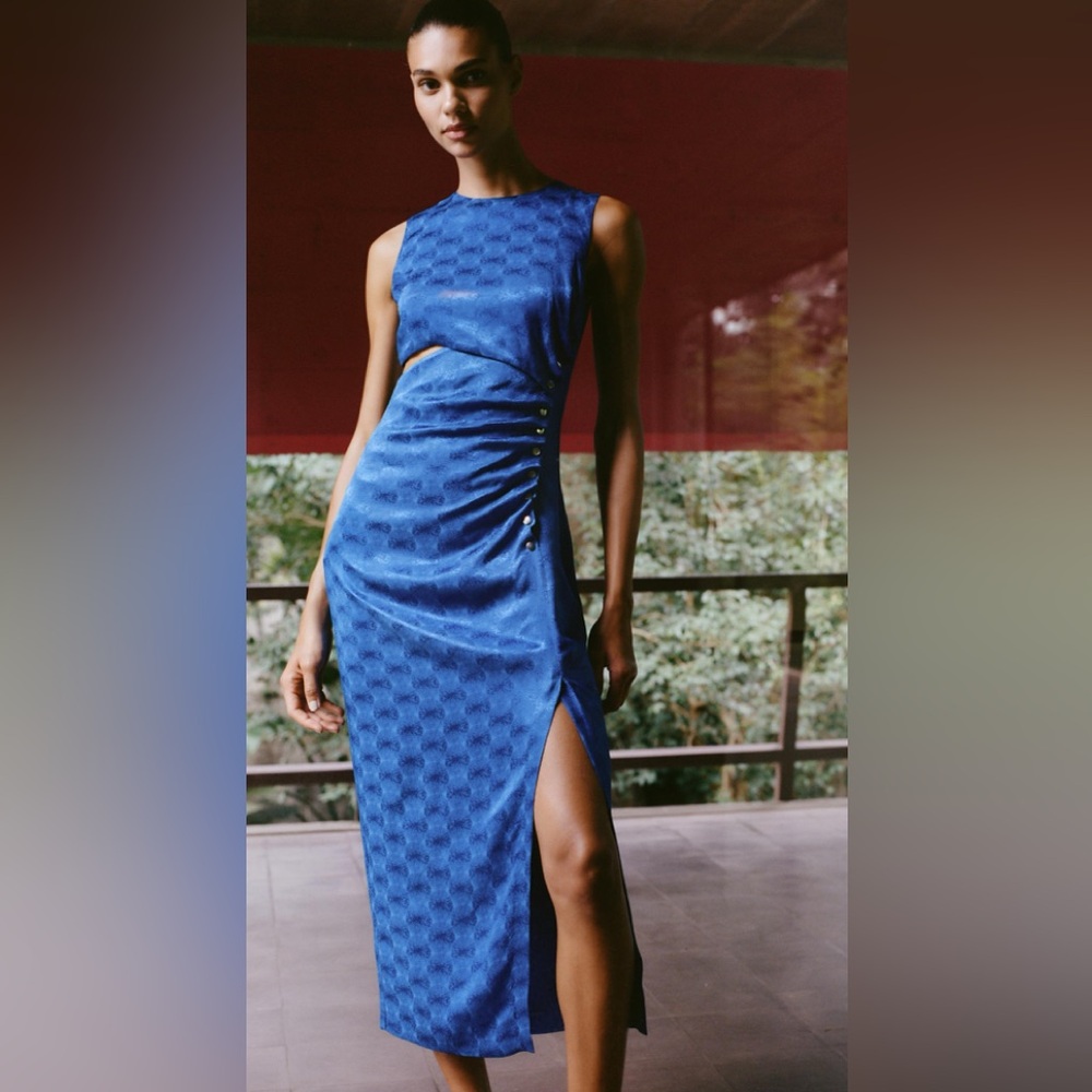 Zara Midi Dress